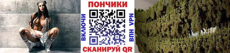 Наркошоп Кондопога A-PVP Cocaine МЕФ Бошки Шишки АМФЕТАМИН ГАШ