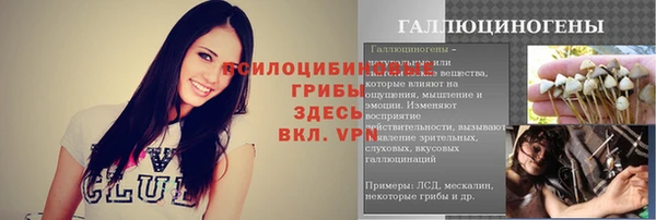 ГАЛЛЮЦИНОГЕННЫЕ ГРИБЫ Балабаново