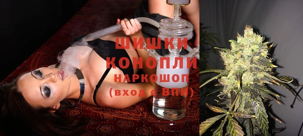 ГАЛЛЮЦИНОГЕННЫЕ ГРИБЫ Балабаново